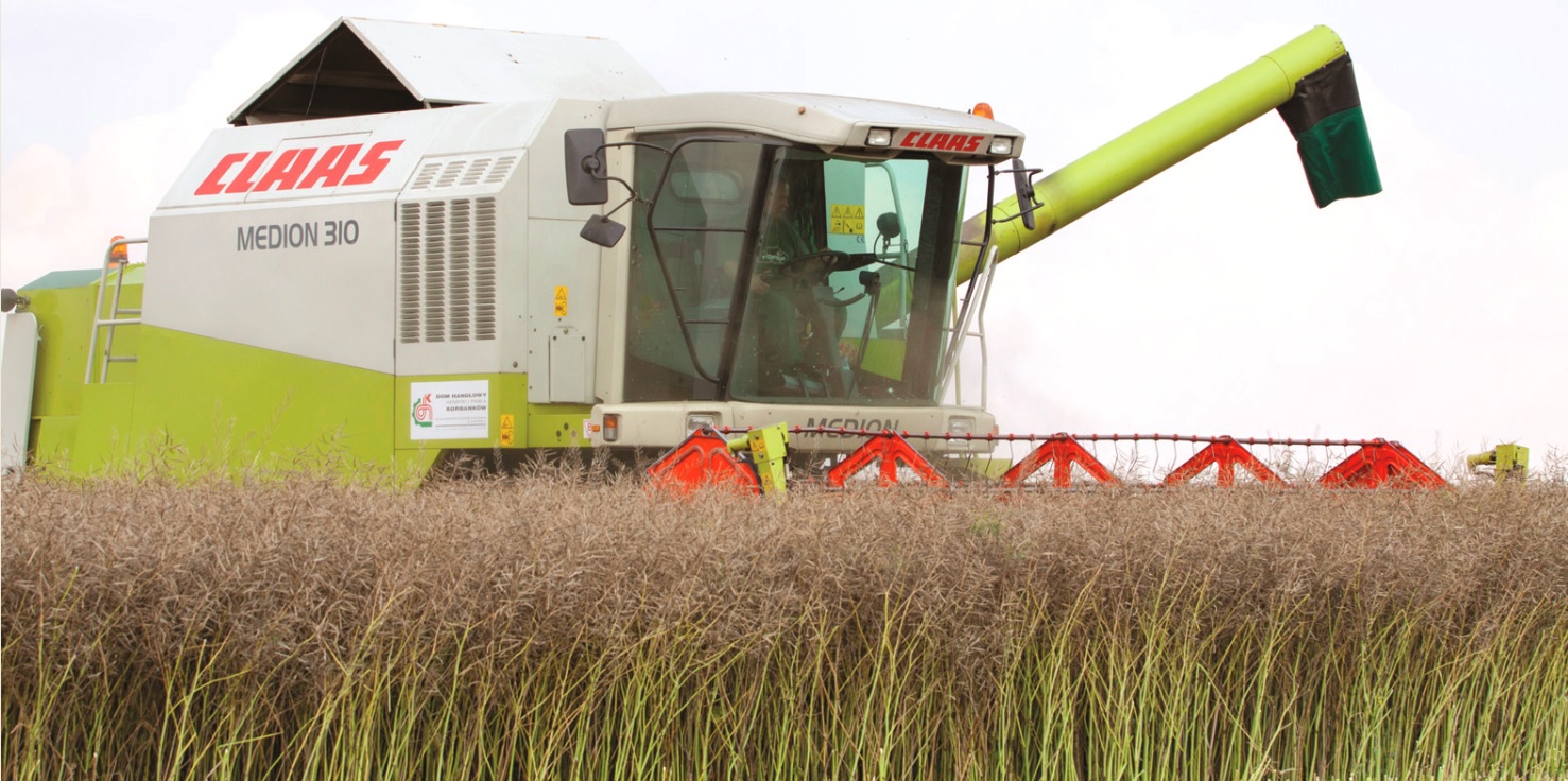 Agrotehnika proizvodnje uljane repice